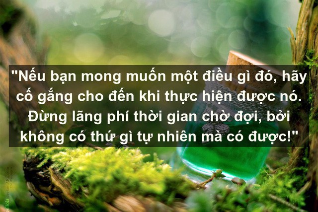 20 câu nói sẽ thay đổi hoàn toàn cách nhìn của bạn, đừng đợi đến tuổi xế chiều mới nhận ra giá trị đích thực của cuộc sống - Ảnh 19.