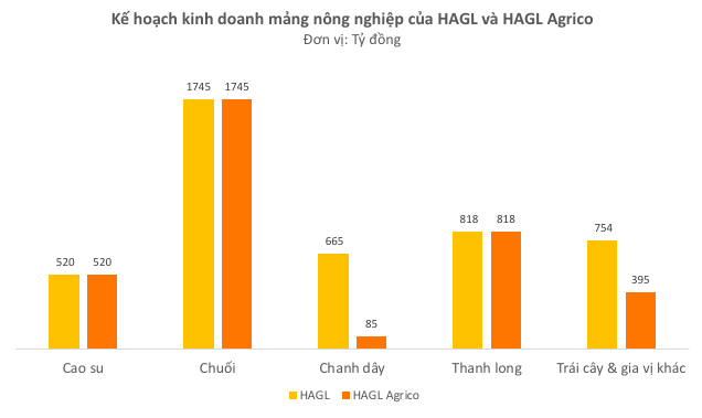  Bầu Đức: HAGL Agrico sẽ vĩ đại. Tôi đang làm hết sức có thể, cổ đông hãy chờ đợi - Ảnh 2.