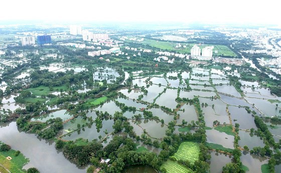 TPHCM chuyển đổi 26.000ha đất nông nghiệp: Thị trường bất động sản sẽ có biến động - Ảnh 1.