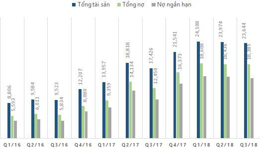 Hoa Sen Group vay nợ 16.000 tỷ, gấp hơn 4 lần vốn chủ: Thế chủ động hay cơn bĩ cực của ông trùm tôn Việt? - Ảnh 1.