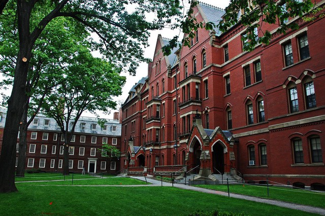 Tôi tốt nghiệp Harvard và cảm thấy đời mình là một thất bại và chẳng đáng sống, trong khi bạn cùng lớp giờ đã giàu có, lấy vợ, đi nghỉ dưỡng - Ảnh 1.