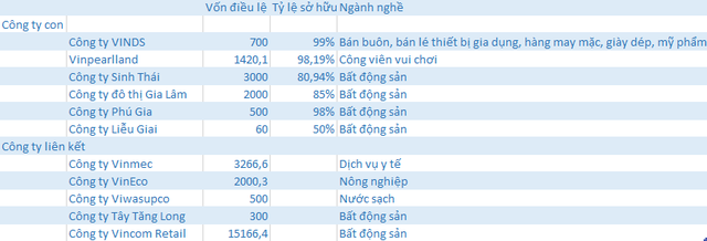 Sau 7 năm được Phó Chủ tịch Vingroup Nguyễn Việt Quang dẫn dắt, doanh thu công ty này tăng 4.500 lần, lợi nhuận tăng 1.400 lần - Ảnh 4.