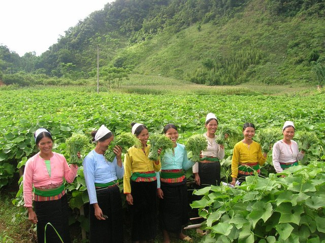 Chuyện anh kỹ sư nông nghiệp khởi nghiệp chuỗi Bác Tôm: Đi nhanh bằng nhượng quyền, chỉ để thuyết phục 1 hộ nông dân mà tuyên bố Ruộng anh chị có gì em mua sạch, mua đến từng quả cà chua luôn - Ảnh 6.