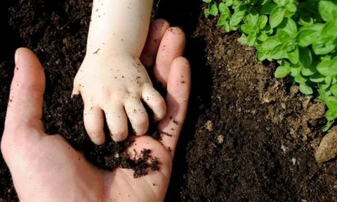 Ông chủ Vinamit chỉ ra thứ Việt Nam đi sau thế giới lại là điểm tốt cho thế hệ tương lai