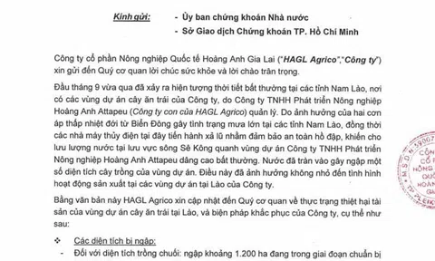 Tỷ phú Trần Bá Dương rót USD, thảm họa bất ngờ Bầu Đức lao đao