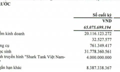 Apax Holdings cho 'Shark' Thủy nợ hơn 30 tỉ đồng thanh lí quyền sử dụng đất, tiết lộ mức chi cho Shark Tank Việt Nam
