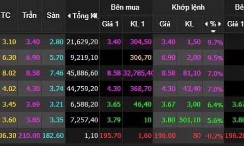 Cổ phiếu FLC và câu chuyện 'lan đột biến' trên sàn chứng khoán Việt