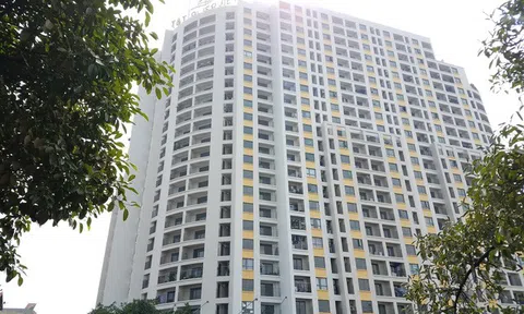 Cuộc 'bành trướng' trong 2 năm của T&T: Dự án từ Bắc vào Nam, đa dạng cả nghỉ dưỡng, năng lượng và sân bay