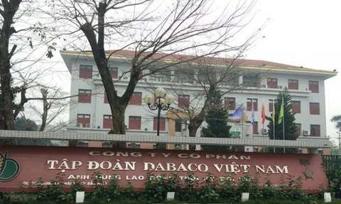 Đại gia chăn nuôi lợn thu 30 tỷ đồng mỗi ngày