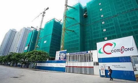 Coteccons tiếp tục sa sút sau khi chia tay ông Nguyễn Bá Dương, lợi nhuận xuống thấp nhất 12 năm