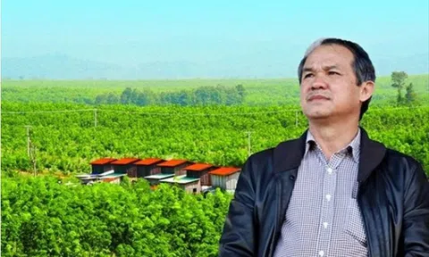 Con gái bầu Đức chi tiền để thành cổ đông lớn thứ 2 tại HAGL