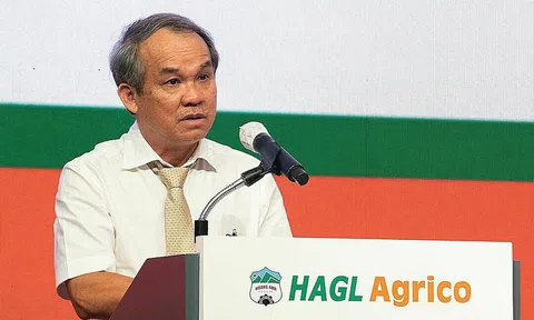 HAGL Agrico lỗ thêm 129 tỷ, nâng lỗ lũy kế lên hơn 2.400 tỷ đồng