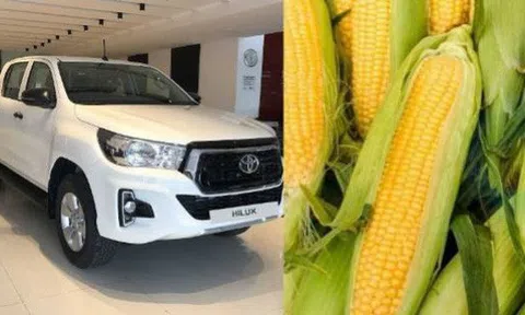 Tesla bán ô tô bằng bitcoin chỉ là chuyện vặt, Toyota giờ cho khách hàng đổi xe hơi bằng ngô hoặc đậu nành