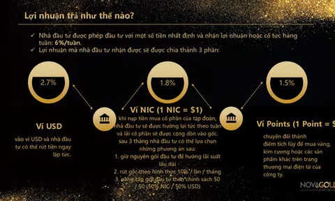 Lại sập bẫy đầu tư cổ phiếu nước ngoài