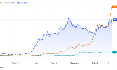 Đại gia 8X thâu tóm nhiều công ty trên sàn chứng khoán