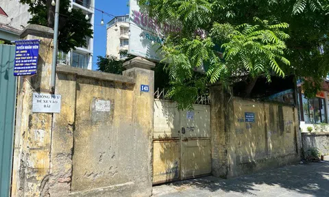 Bất ngờ với công việc của Tổng giám đốc "siêu doanh nghiệp" 128.000 tỉ đồng ở quê