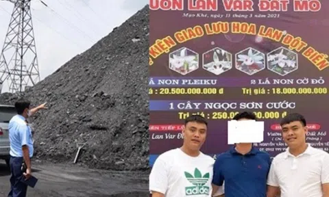 Anh em 'đại gia lan đột biến' điều hành đường dây than lậu như thế nào?