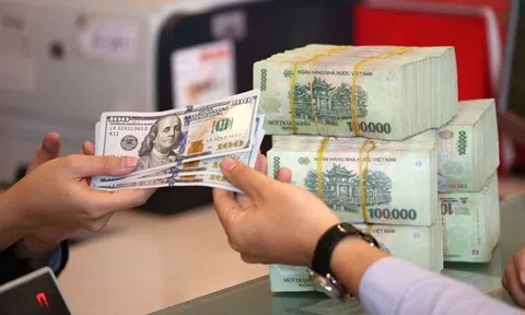 Tổng cục Thuế nói gì về vụ án mua bán trái phép hóa đơn gần 100 tỷ đồng tại Thanh Hóa?
