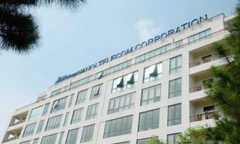 Doanh thu trăm tỷ mỗi năm, Hanoi Telecom vẫn chìm trong thua lỗ