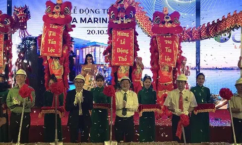 Tại sao Bình Định phải giải trình việc biến rừng đặc dụng thành dự án?