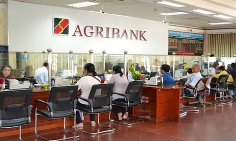 Agribank AMC rao bán nhà máy của Công ty TH BONBON, giá khởi điểm hơn 103 tỷ đồng