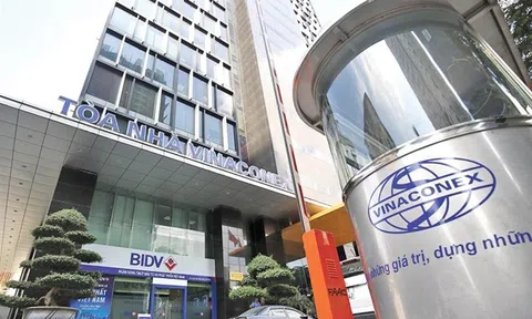 Vinaconex hụt lãi hàng chục tỷ đồng sau kiểm toán