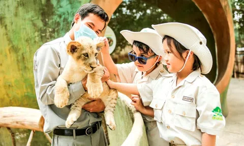 24 giờ của “bố hổ”, “mẹ sư tử” ngoài đời tại Vinpearl Safari