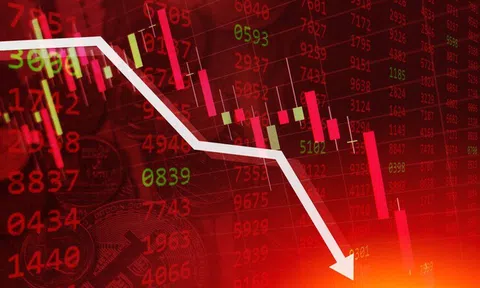 Một nhà đầu tư cá nhân thoái toàn bộ gần 6,8 triệu cổ phiếu RIC sau gần 6 năm làm cổ đông lớn