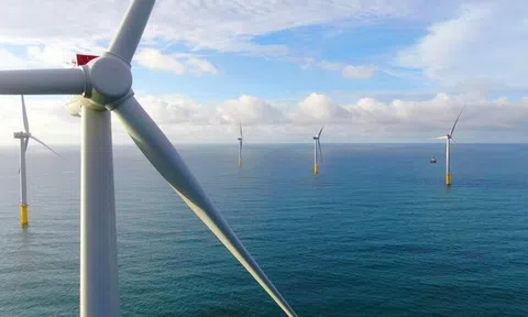 Ký hợp tác đầu tư 30 tỷ USD với doanh nghiệp ngoại, T&T sẽ phát triển điện gió ở đâu?