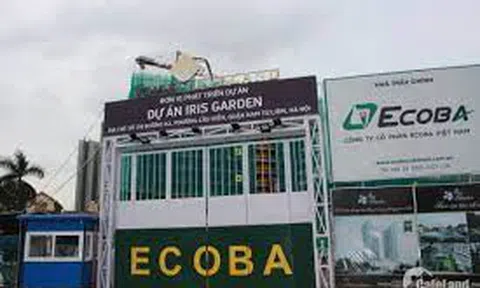 Những điểm đáng chú ý trong bức tranh tài chính của 'ông lớn' xây dựng Ecoba Việt Nam