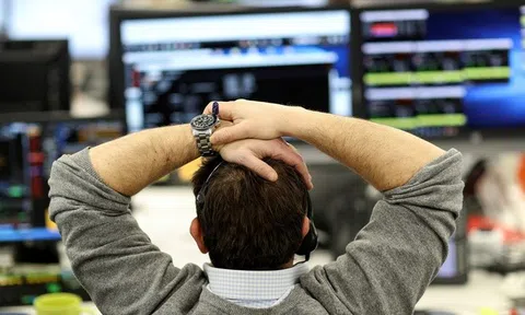 Dính bẫy tin giả, dân đầu tư tiền mã hóa Việt mất hàng nghìn USD