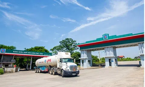 Hé lộ bức tranh tài chính của 'đại gia' xăng dầu Hải Linh