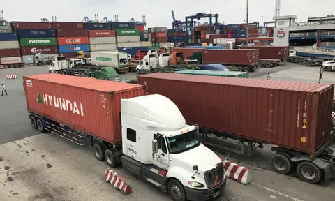 Doanh nghiệp kêu trời vì các hãng tàu thu phí 'mất cân bằng vỏ container' quá cao