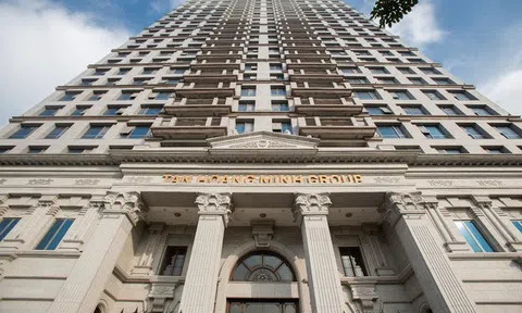 Cổ phiếu một thành viên Tân Hoàng Minh tăng trần suốt 4 tháng, gấp 12,5 lần dù lỗ lũy kế hơn 400 tỷ