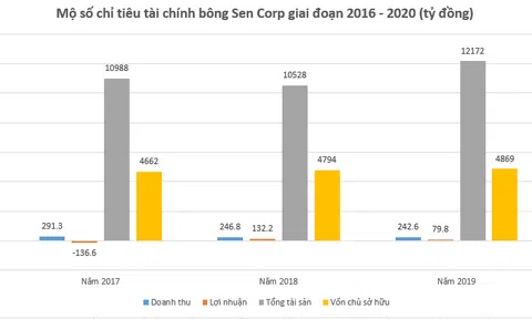 Bách Hưng Vương và Bông Sen Corp đang kinh doanh thế nào?