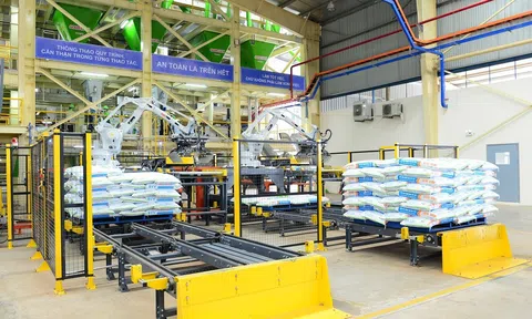 Nova Consumer có lợi thế gì trước khi lên sàn?