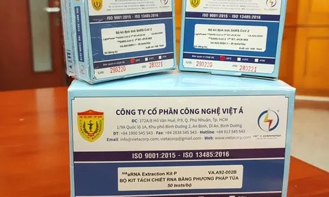 Vụ Việt Á: Sai phạm vì có 'chống lưng'?