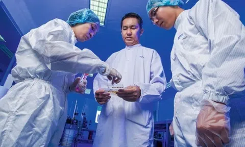 "Soi" tài sản của Nanogen và CEO Hồ Nhân trước khi "thoái vị"