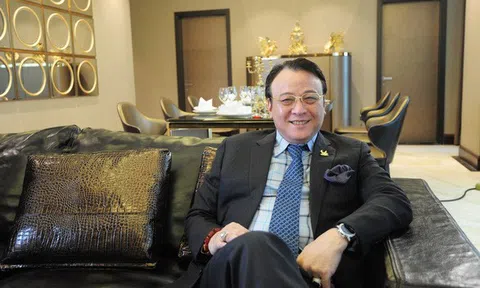 Bắt chủ tịch Tập đoàn Tân Hoàng Minh Đỗ Anh Dũng