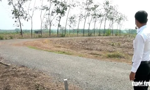 Họa phân lô bán nền: Đất rừng, làng bản phân lô tuốt!