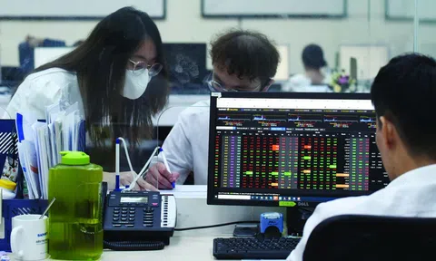 Đáy thị trường chứng khoán đã xác lập?