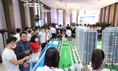 Cơ hội chắc thắng trên thị trường căn hộ Hà Nội