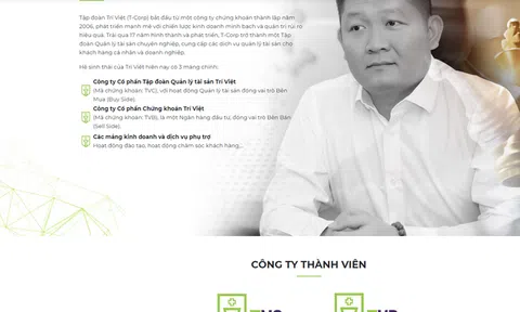Công ty Trí Việt 'bơm tiền' cho Chủ tịch Louis Holdings 'thổi giá' cổ phiếu thế nào?