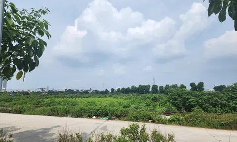 VietABank liên tục cho vay sai quy định, Thanh tra Chính phủ điểm tên