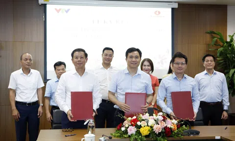 Đài Truyền hình Việt Nam và Tập đoàn Vingroup hợp tác thúc đẩy chuyển đổi xanh