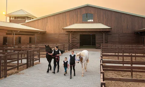 Du khách hào hứng khám phá bộ môn mã thuật tại Vinpearl Horse Academy Vũ Yên