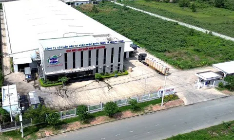 Bao bì Hoàng Long 10 năm tôn vinh thương hiệu của bạn