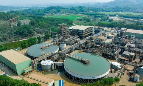 MSR bước vào chu kỳ tái định vị, hưởng lợi kép từ giá vonfram và mở rộng khai thác tại Núi Pháo