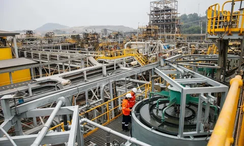 J.P. Morgan đánh giá tích cực thương vụ Elmet trở thành cổ đông chiến lược MSR