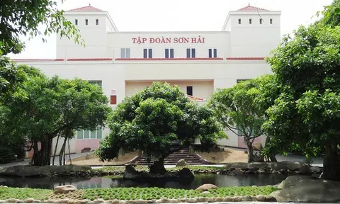 Chủ tịch 9x của Sơn Hải Group là ai?